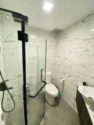 Shelford Regency (D11), Condominium #570702581